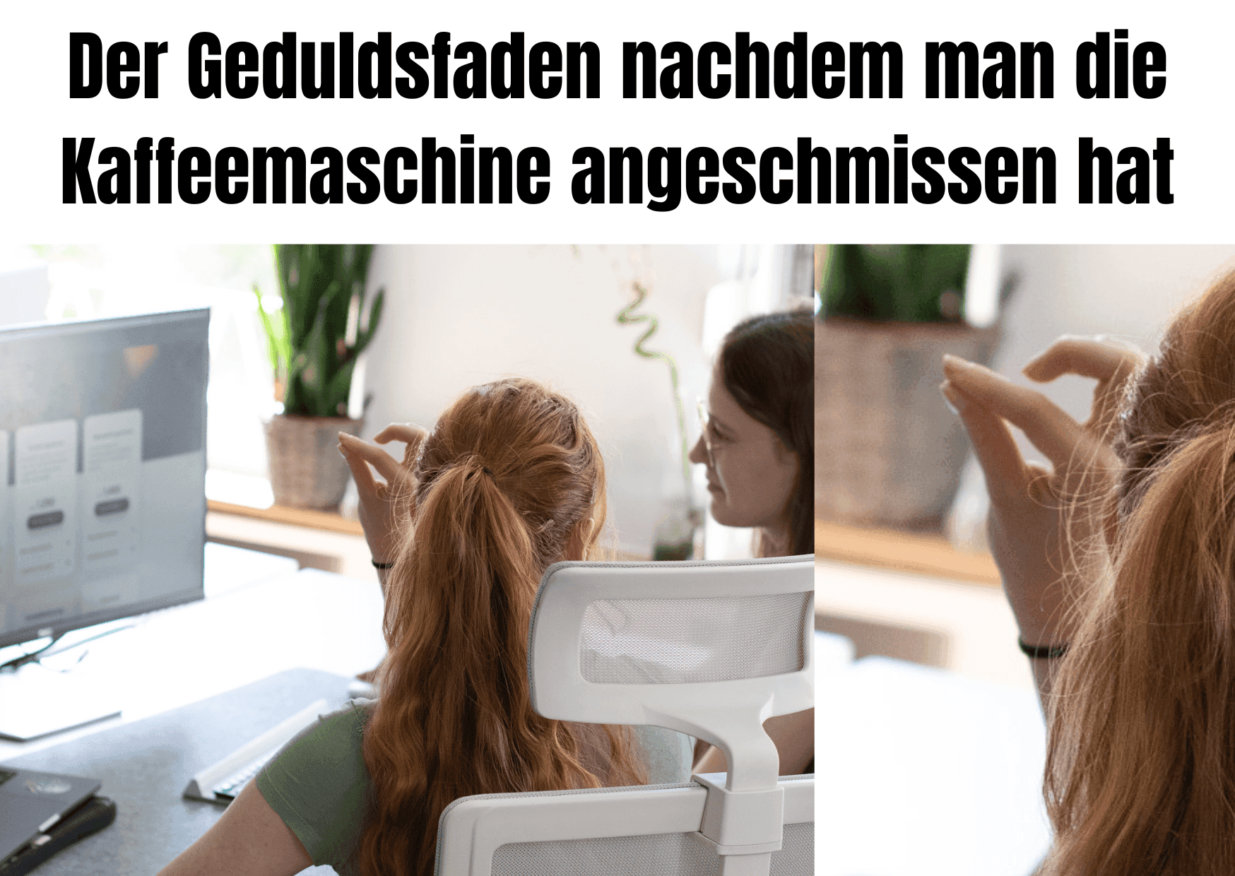 Meme