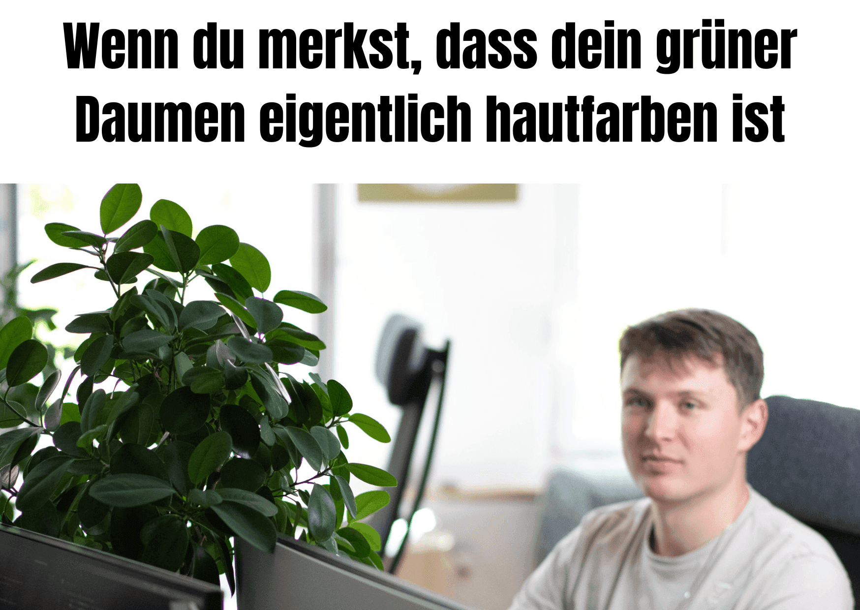 Meme